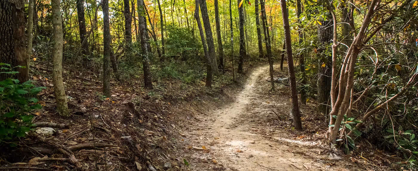 G5 Trail in Western NC